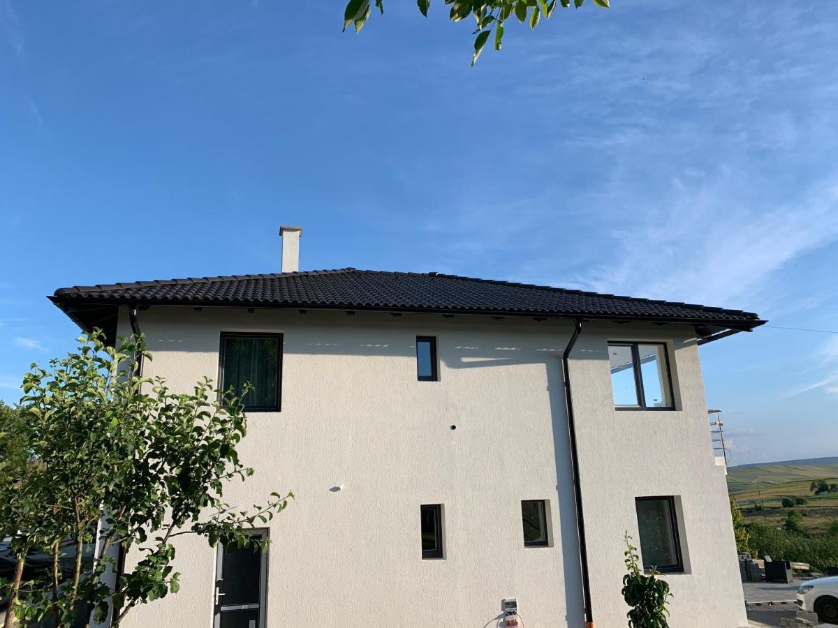 הוילה אודורהיו סקוייסק Viktoria House מראה חיצוני תמונה