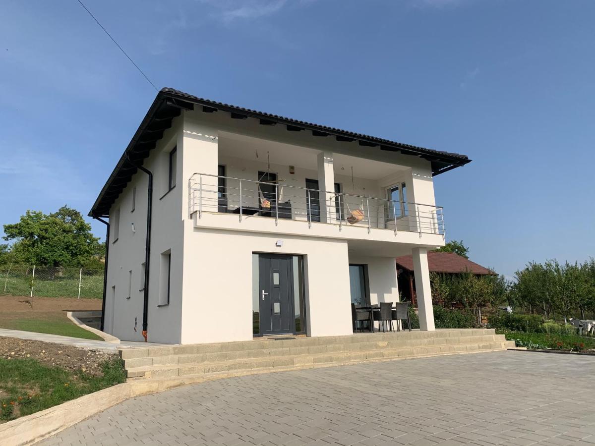 הוילה אודורהיו סקוייסק Viktoria House מראה חיצוני תמונה
