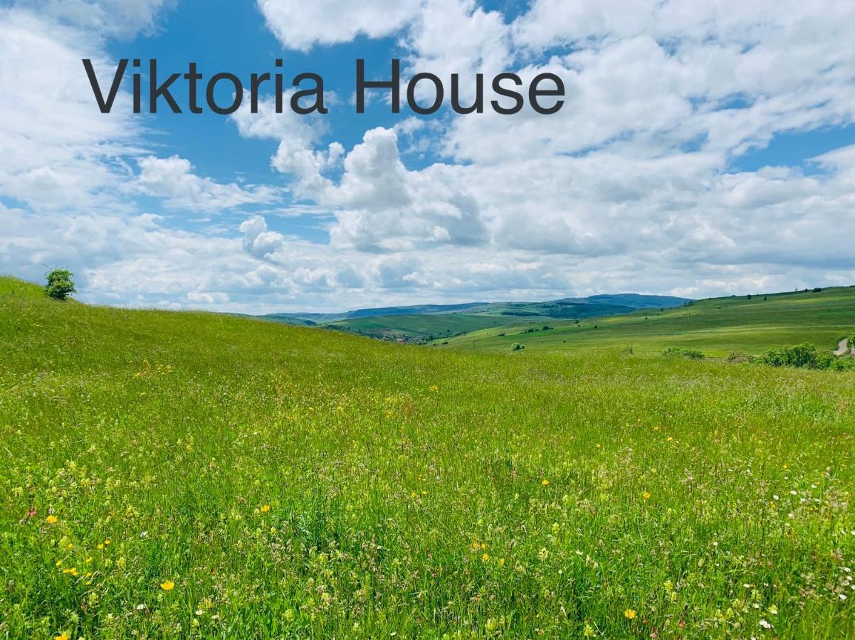 הוילה אודורהיו סקוייסק Viktoria House מראה חיצוני תמונה
