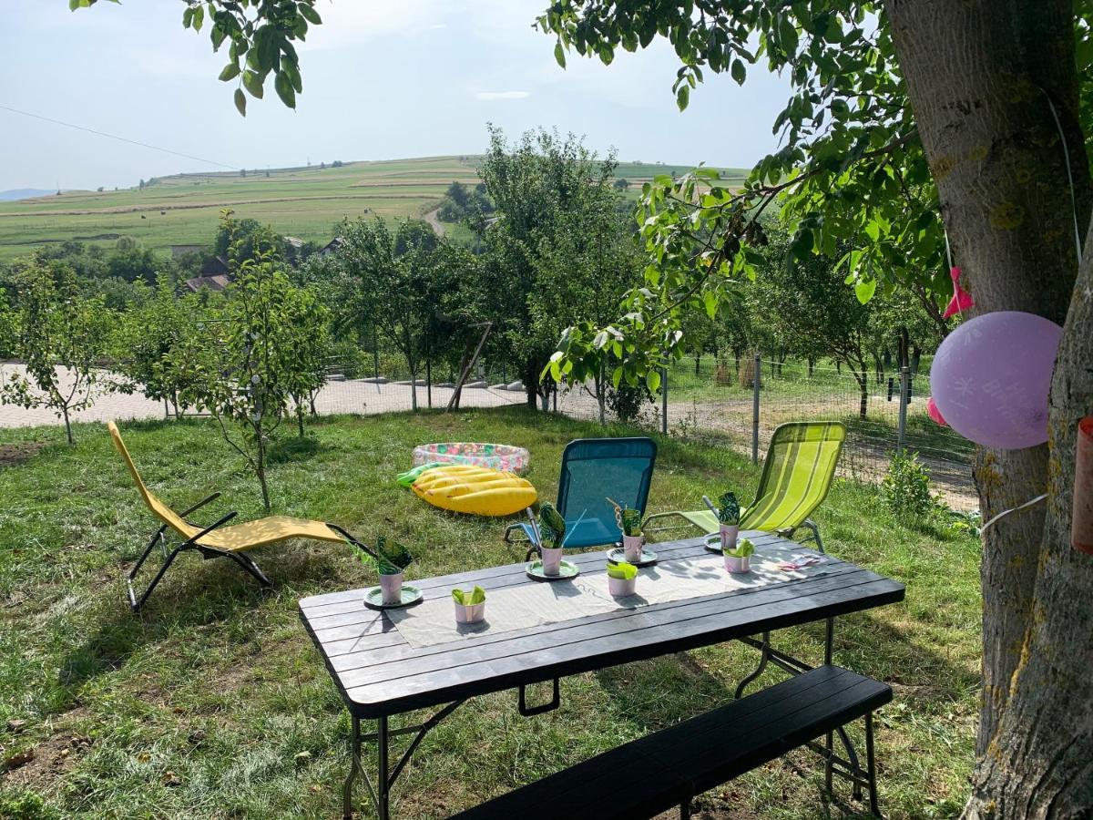 הוילה אודורהיו סקוייסק Viktoria House מראה חיצוני תמונה