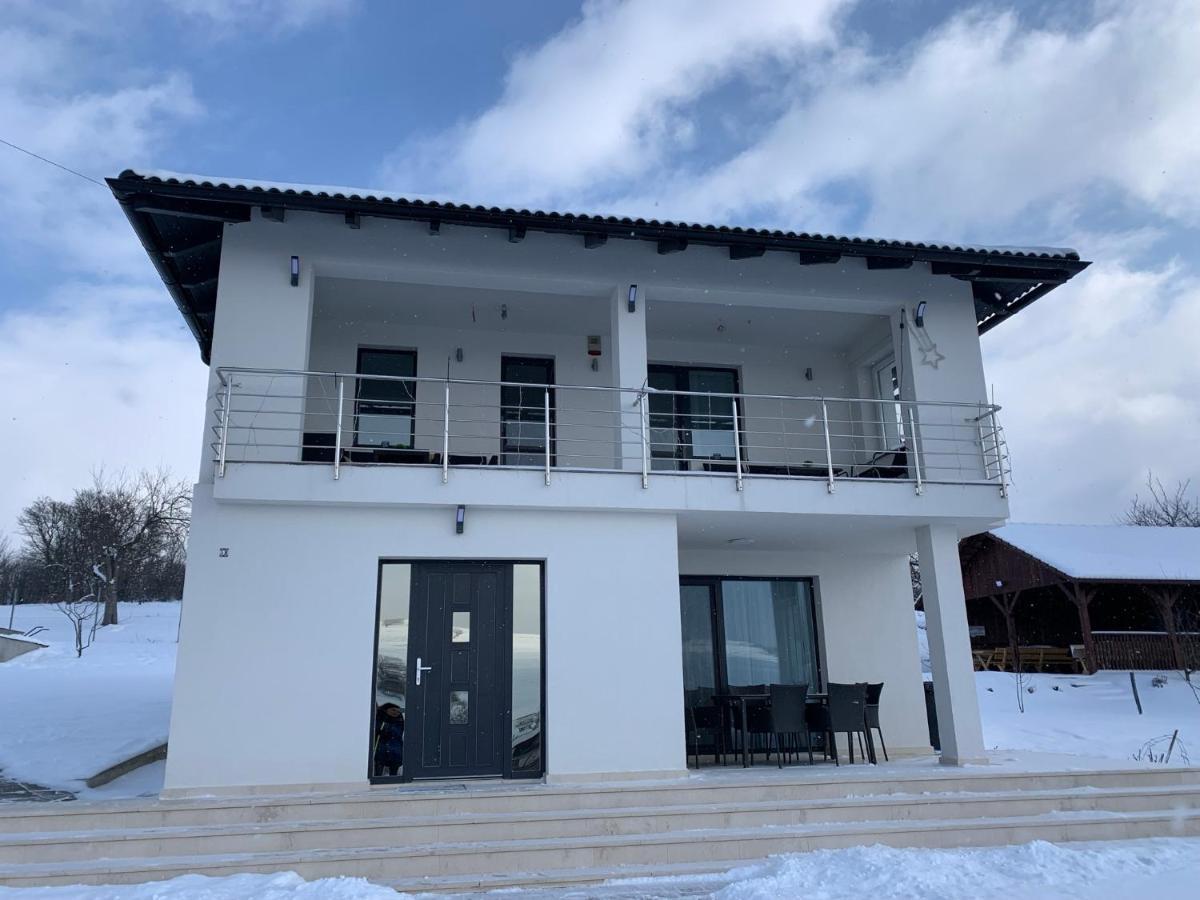 הוילה אודורהיו סקוייסק Viktoria House מראה חיצוני תמונה